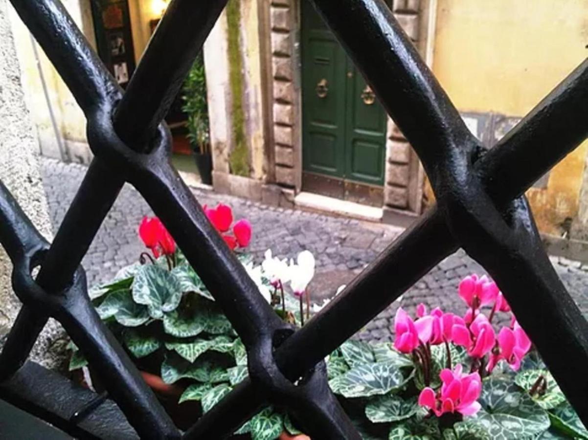Appartamento Residenza Dei Banchi Nuovi - Exclusive